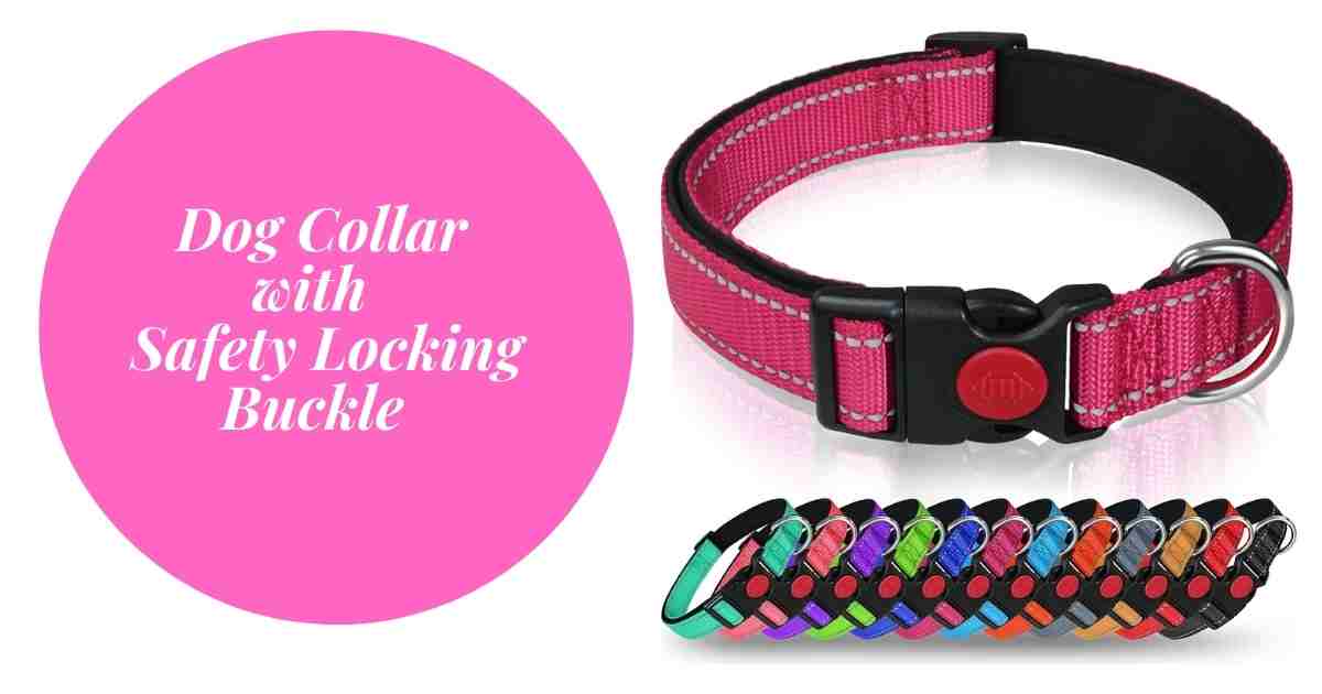 Dog Collar with Safety Locking Buckle