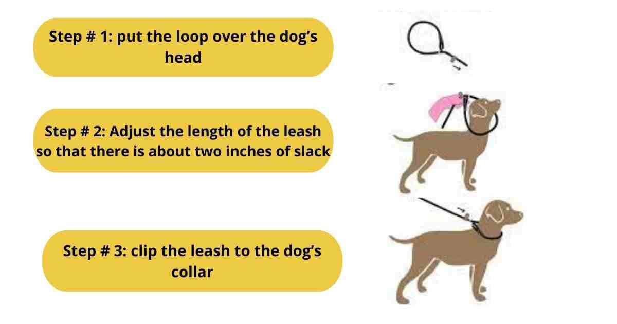 HOW TO USE A SLIP LEAD