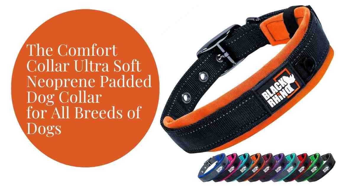 Neoprene Padded C4 Dog collar