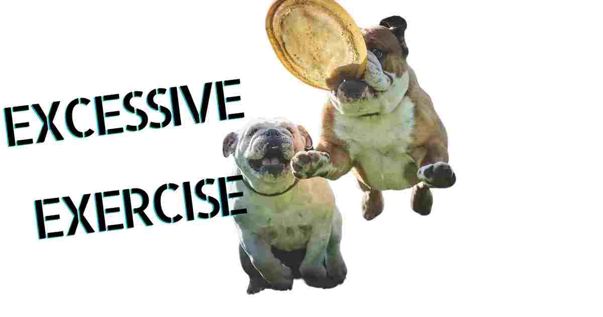 EXCESSIVE EXERCISE