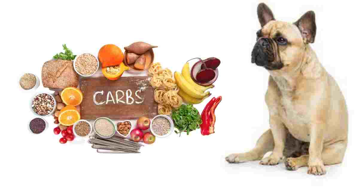 high Carbohydrate dog food