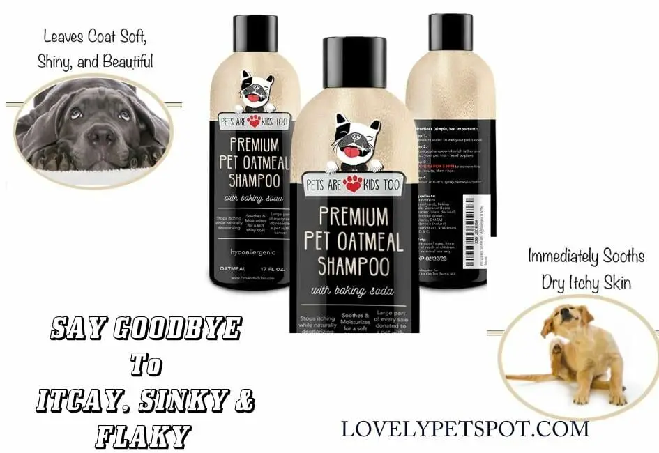 Bulldog Oatmeal Anti-Itch Shampoo & Conditioner