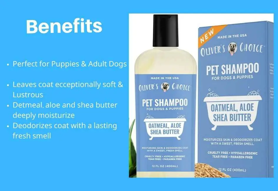 best shampoo for pets, dog shampoo, best bulldog shampoo