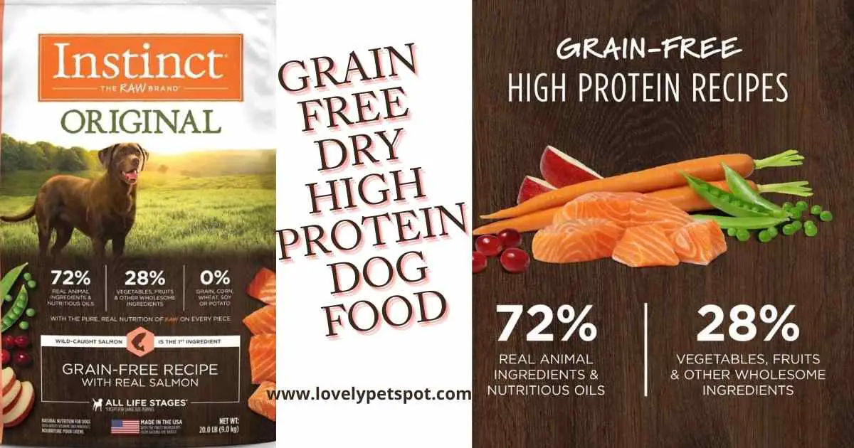 GRAIN FREE DRY HIGH PROTEIN DOG FOOD