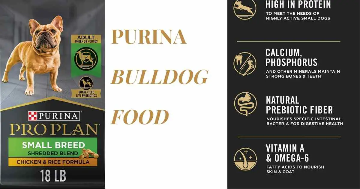 PURINA BULLDOG FOOD