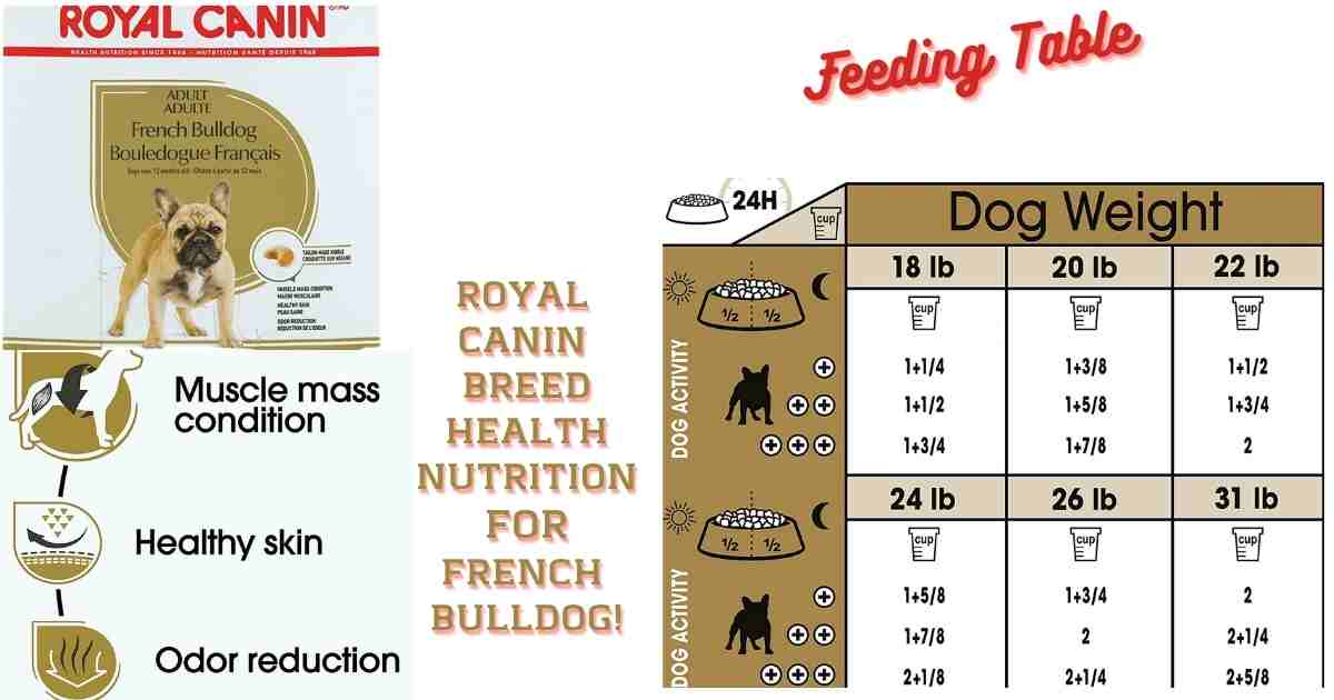 ROYAL CANIN BREED HEALTH NUTRITION FOR FRENCH BULLDOG