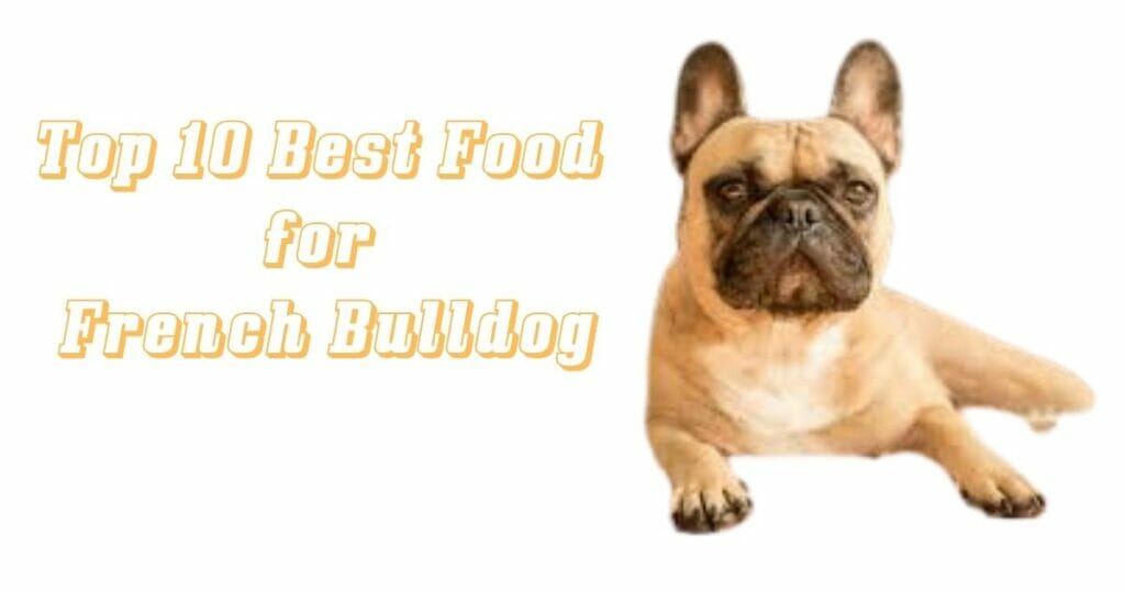 best food for French bulldogs