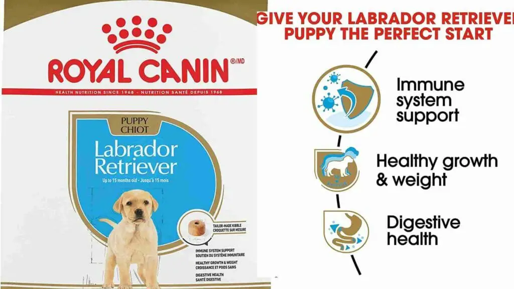 Royal Canin Dog Food For Labrador Retrievers