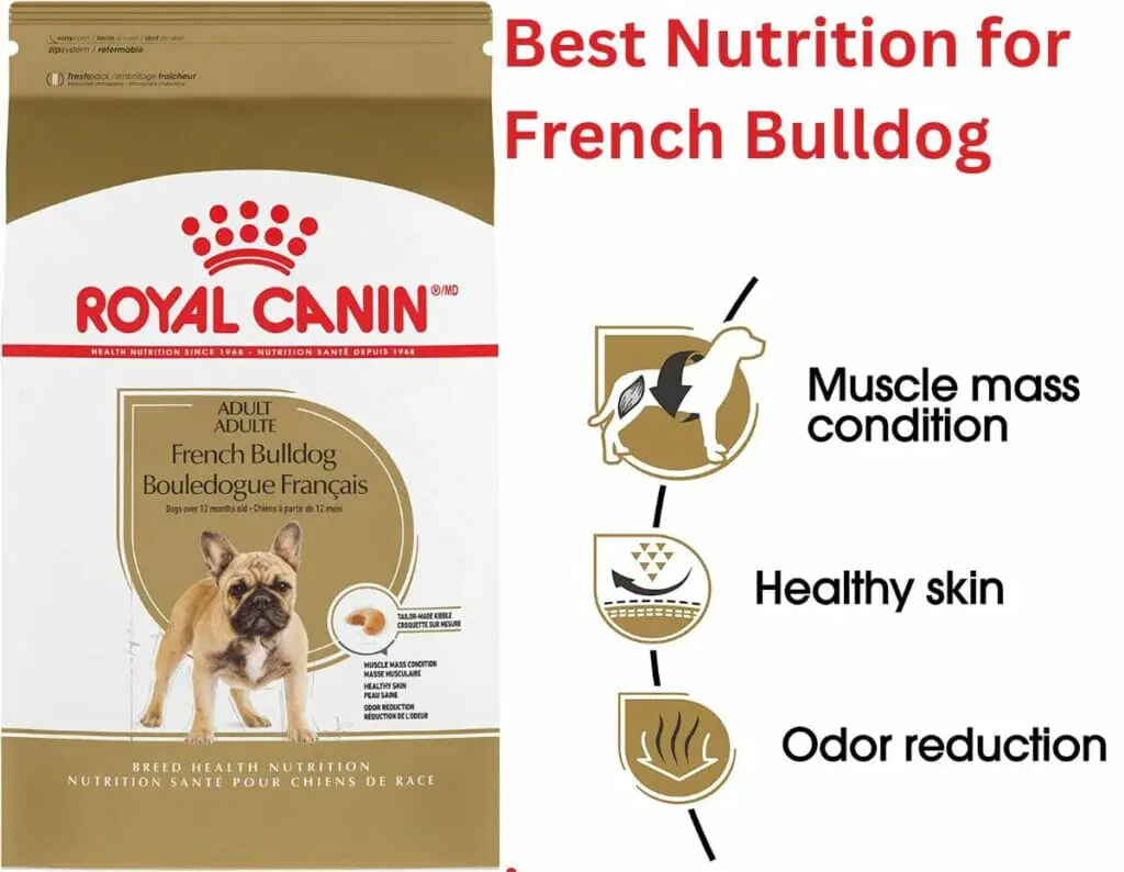 Royal Canin for French Bulldog