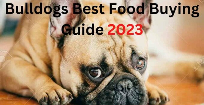 Best food for Franch Bulldogs