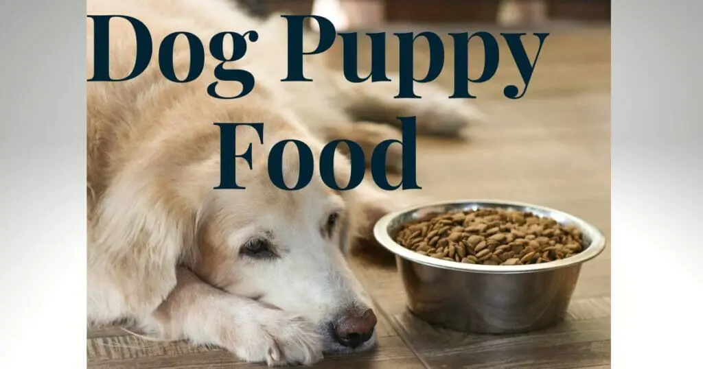 How long do you give a dog puppy food