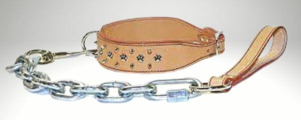 large dog collar