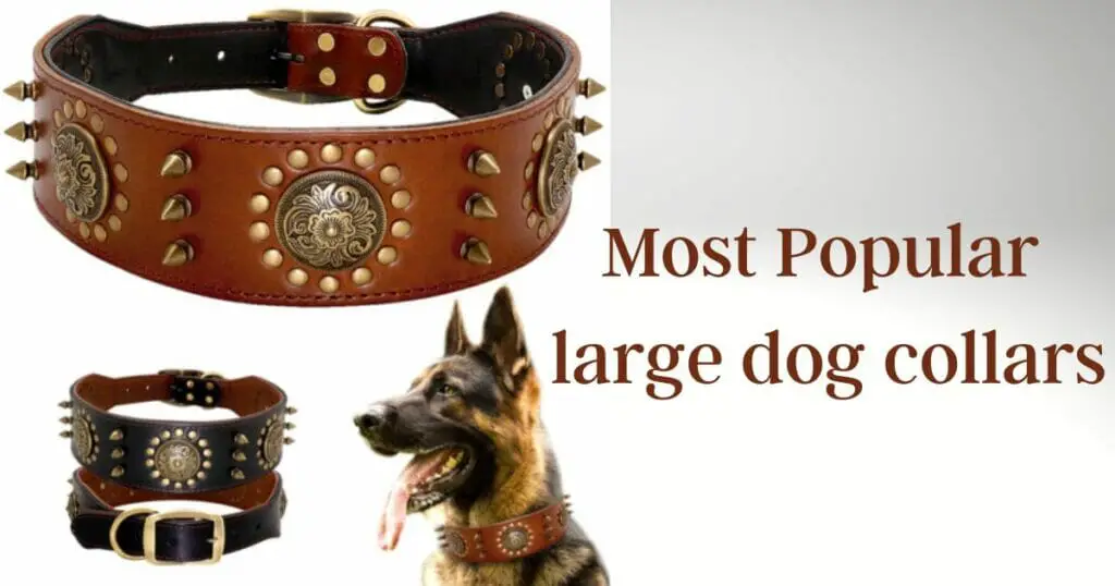 most popular large dog collars