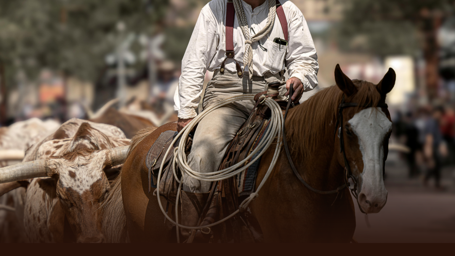 Can You Get A DWI On A Horse In Texas? Find Out!