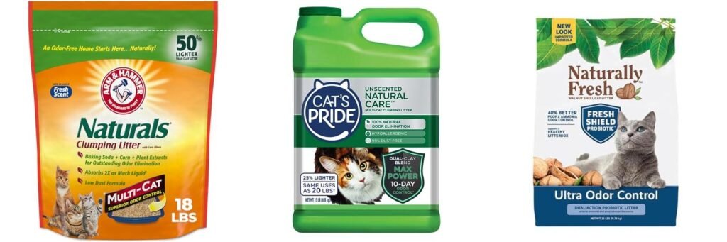 Odor Control Litter: Natural Cat Litter Review